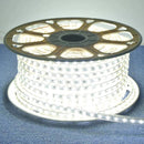 Fita Mangueira LED 5050 10 Metros Branco Frio ou Quente – 110V/220V com Fonte de Alimentação e Rabicho
